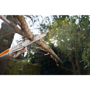 Perche élagueuse à Batterie Stihl HTA 50 + Batterie AK20 + Chargeur AL 101 design à la mode 9
