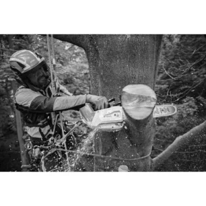 Tronçonneuse à Batterie Stihl MSA 220 T (machine Seule) Rollo E Light 35 Cm PS 3 3/8” REMISE allant 18